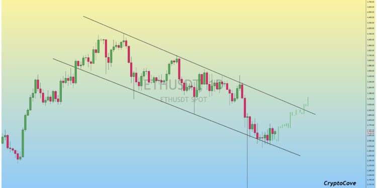Will Ethereum Price Bounce Back after Peak Bearishness?