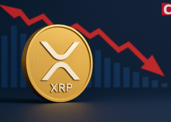 Expert Says XRP Overvalued but Not Worthless as Network Slows