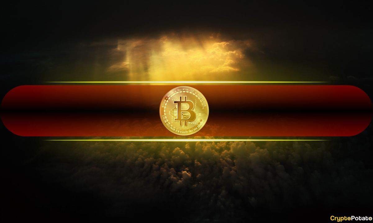 Bitcoin Net Realized Losses Worsen 60% Weekly to -$410M