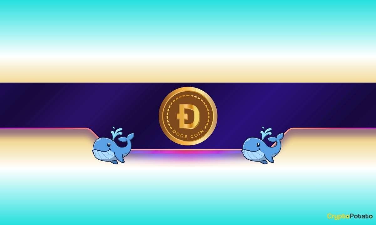 Is Dogecoin Ready for a Further Rally?