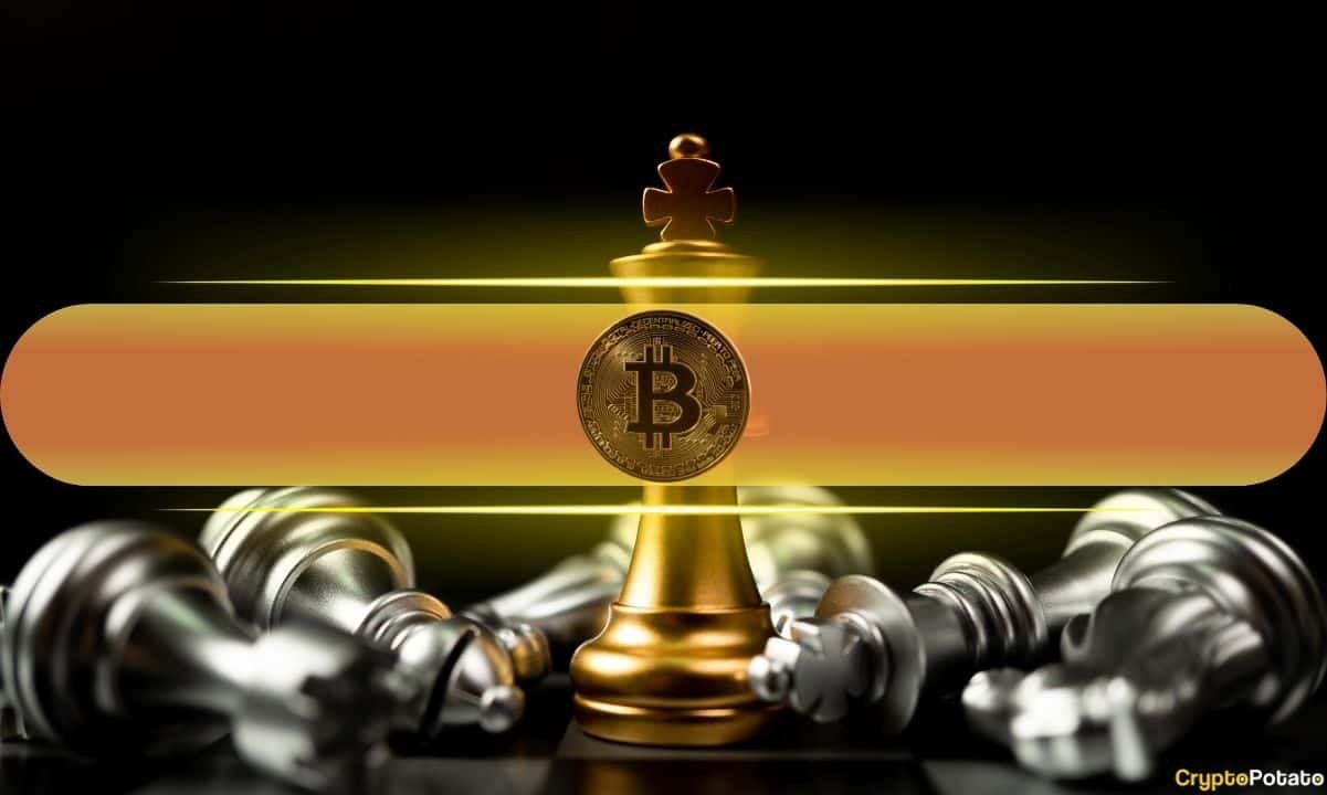 Only 9 of the Top 50 Altcoins Have Beaten Bitcoin Since Its Peak: Picking the Winners Is Brutal